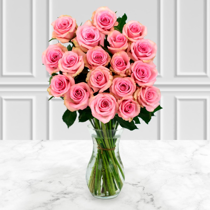 18 Pink Roses