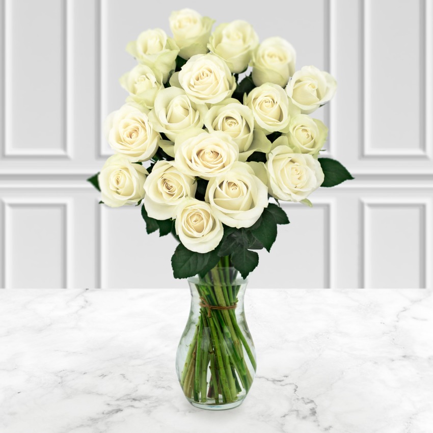 18 White Roses