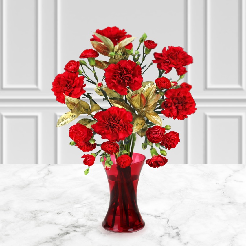 Festive Carnations