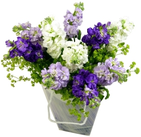Save on our Bouquet of the Week