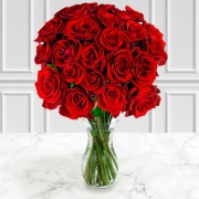 24 Red Roses  Roses Only UK