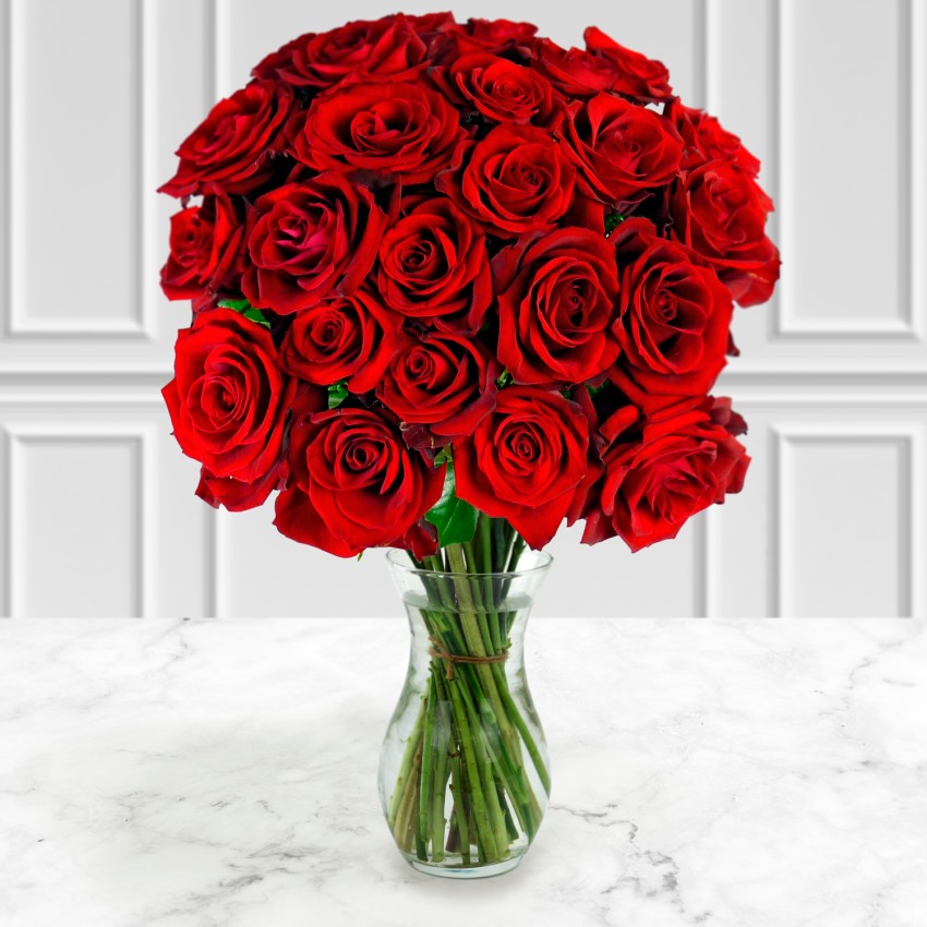 24 Select Red Roses