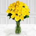 24 Yellow Roses