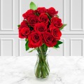 Dozen Red Roses