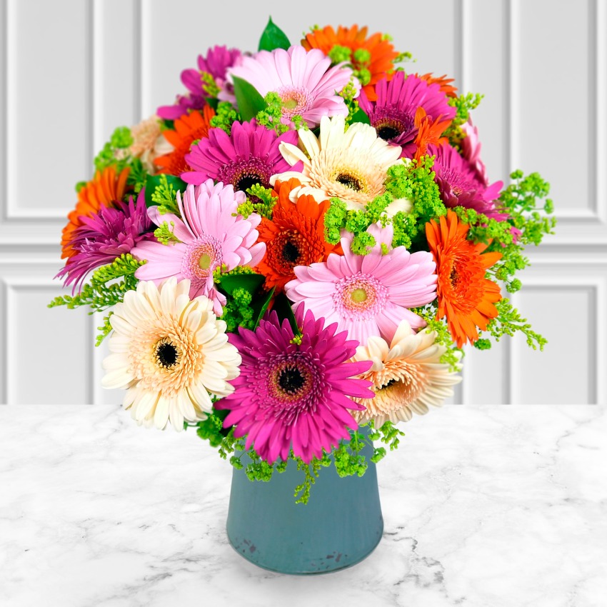 Deluxe Gerbera Bouquet