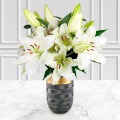 Large White Lily Bouquet