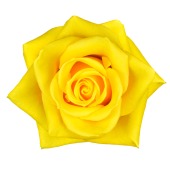 Single Yellow Rose