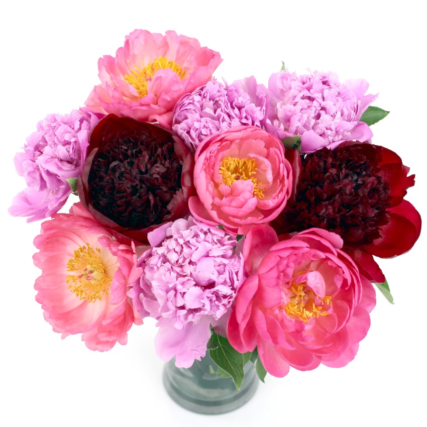 Peony Bouquet