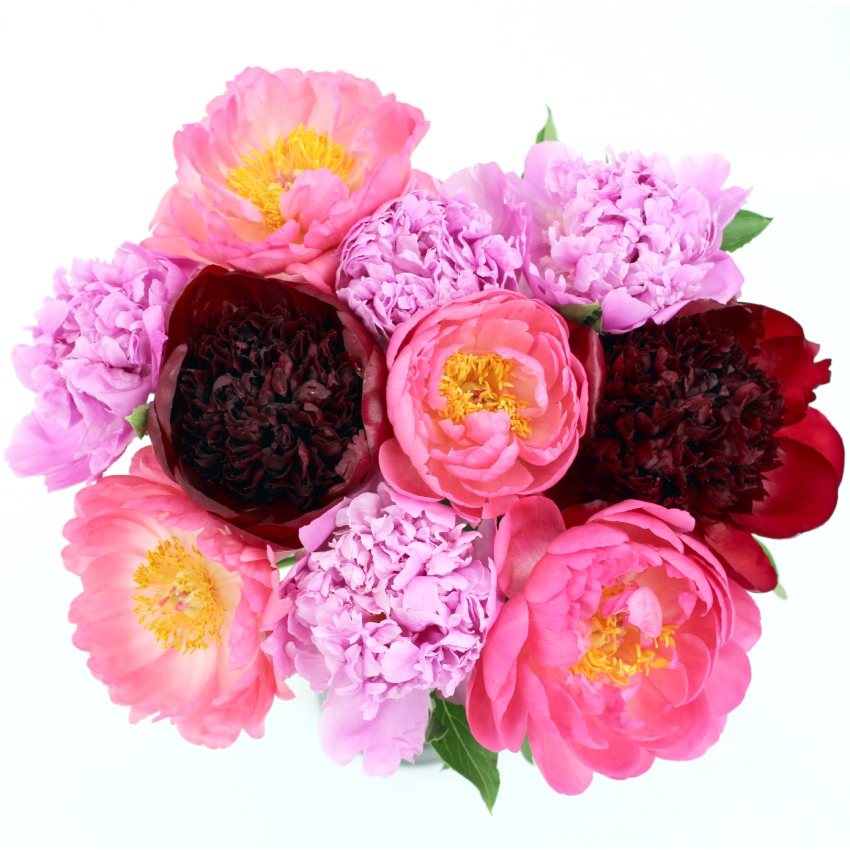 Peony Bouquet