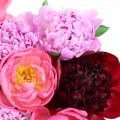 Peony Bouquet