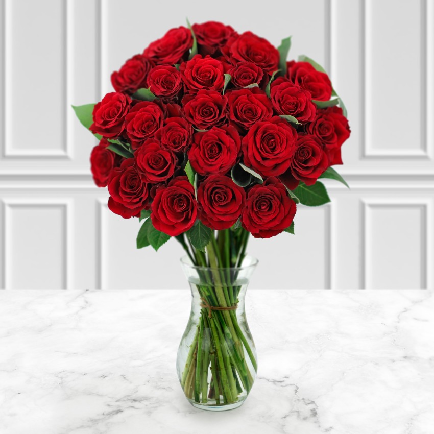 Two Dozen Deluxe Red Roses