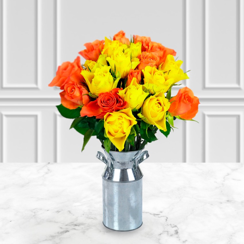 20 Petite Roses