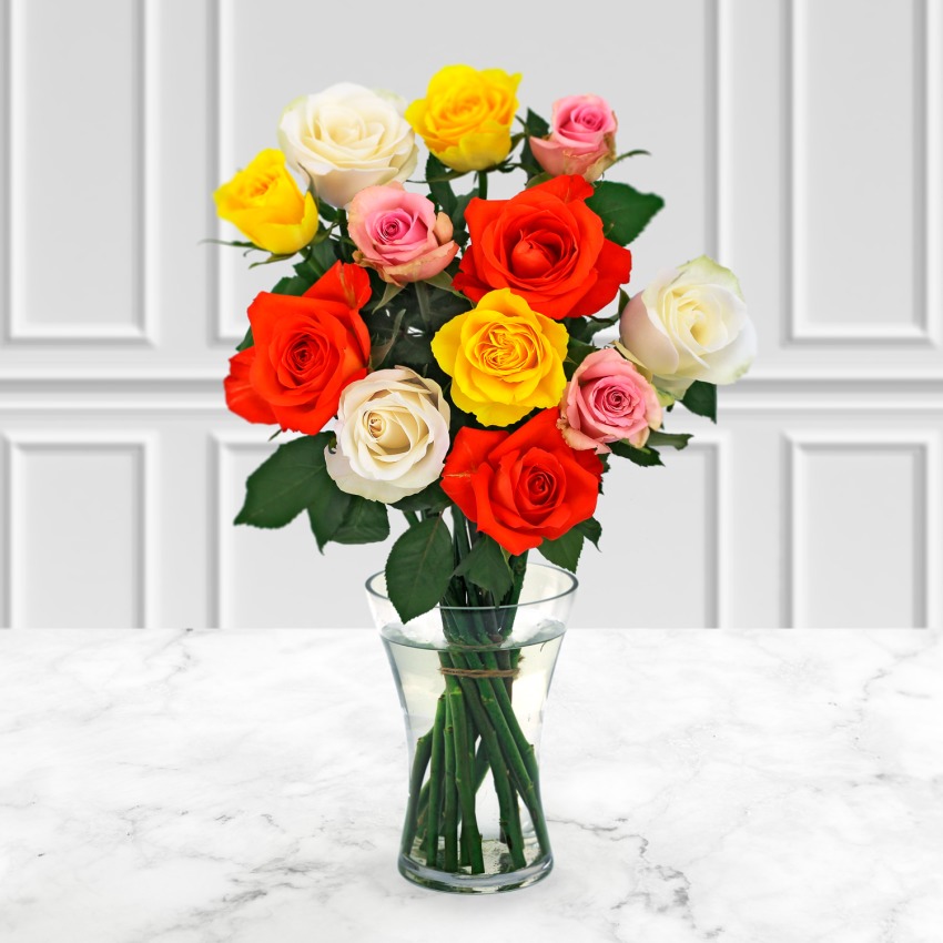 12 Classic Mixed Roses