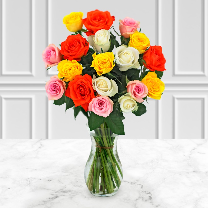 18 Classic Mixed Roses