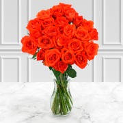 24 Orange Roses