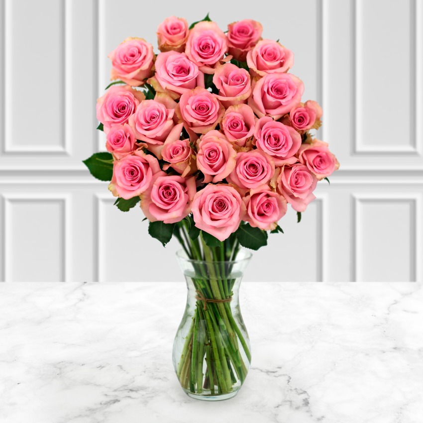 24 Pink Roses