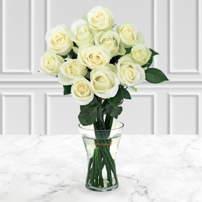 12 White Roses