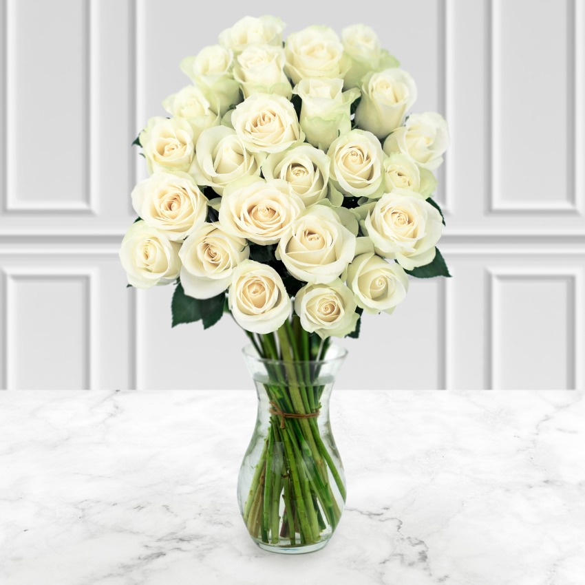 24 White Roses