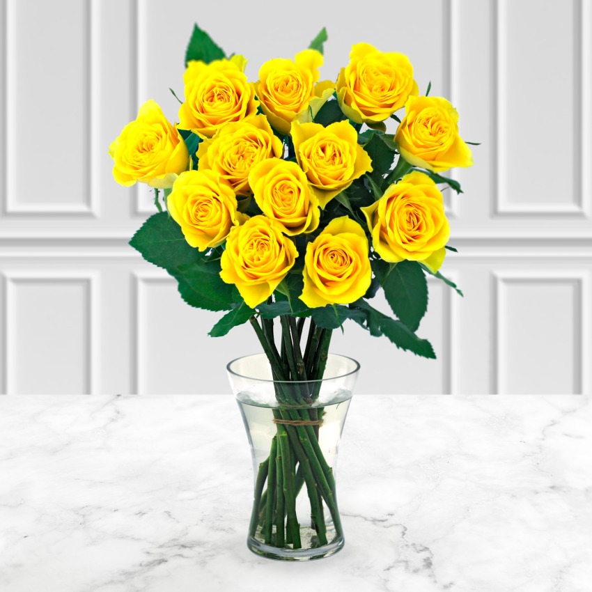 12 Yellow Roses