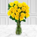 18 Yellow Roses