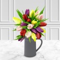 Spring Tulips | Large