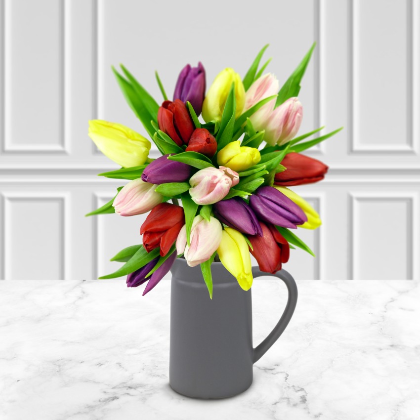 Spring Tulips