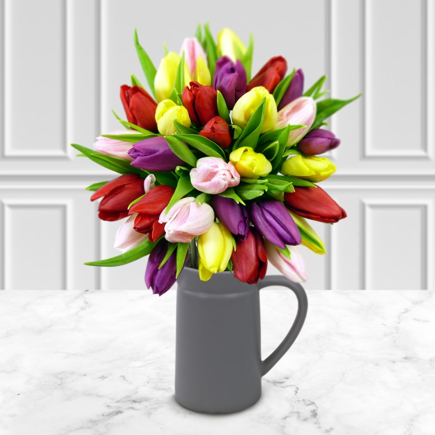 30 Spring Tulips