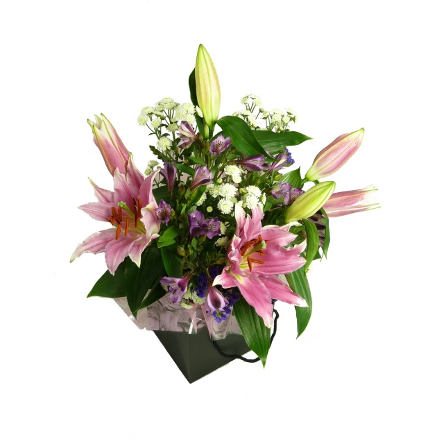 Flower Care Tips & Instructions
