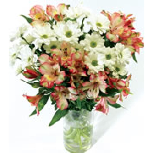 Alstroemeria Care